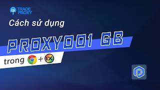 Cách Lấy Proxy001 Và Gắn Vào SwitchyOmega, IXBrowser Chỉ Vài Bước Đơn Giản