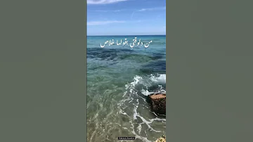 حاله واتس اغنيه هي حياتي عمرو دياب 