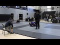 BJJ - Adult Female 135 or less