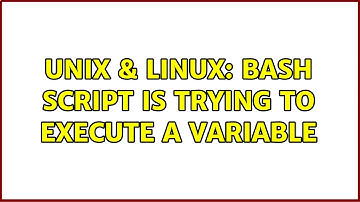 Unix & Linux: bash script is trying to execute a variable (2 Solutions!!)