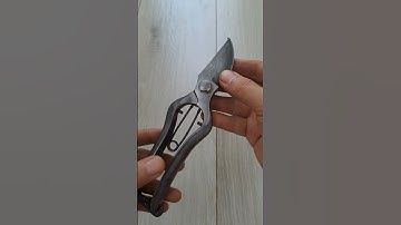 MÃ K7, KÉO CẮT CÀNH ĐÚC ĐẸP Chuẩn Nhật, 450K CK BAO SHIP #đồnhậtbãi #kéonhậtbãi #kéonhật #keocatcanh