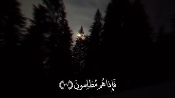 ( سبحان الذي خلق الأزواج كلها ) - تلاوة عطرة للقارئ: محمد أيوب رحمه الله.
