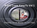 White crane kung fu 11