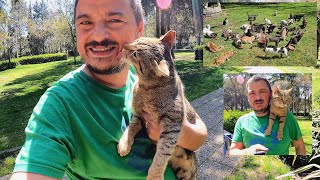 The stray cat experienced an explosion of excitement when he met the man who rescued him again. by Adorable Paws 237,469 views 3 weeks ago 11 minutes, 18 seconds