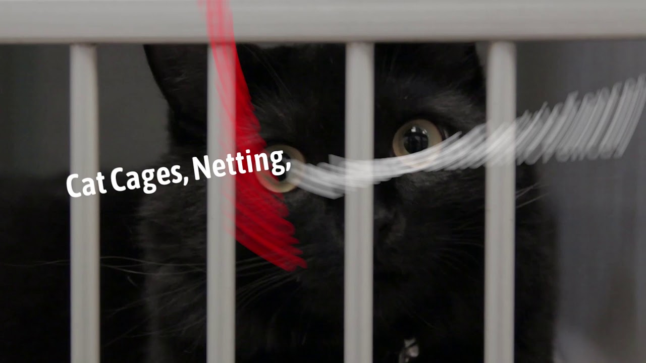 Oscillot Spinning Paddle Cat Containment Fence System Youtube