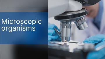 Microscopic creatures | Deep microscopic world.