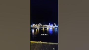 ﴿والنجم إذا هوى...﴾ تلاوة خاشعة للقارئ الشيخ ياسر الدوسري ✨