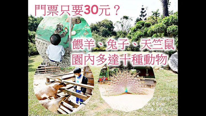 桃园羊世界 /CP值超高的亲子农场/亲近动物、DIY喂食桃园亲子景点 - 天天要闻