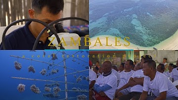 Zambales Philippines, Coral Reef Restoration Project.