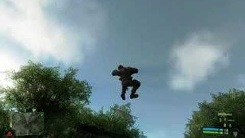 Crysis Bug