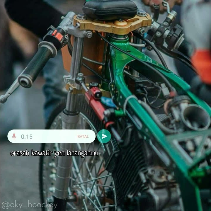 Story wa 30 detik (pesan suara)
