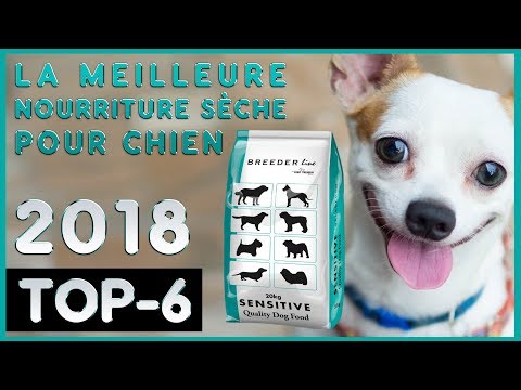 Vidéo: Quelle Est La Meilleure Nourriture Sèche Pour Chien