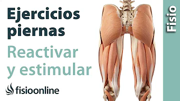 ¿Cómo puedo fortalecer las piernas para volver a caminar?