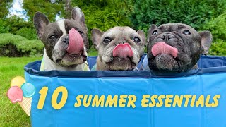 10 summer essentials for your French Bulldog by Eric Charming 254 views 9 months ago 2 minutes, 43 seconds