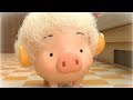 Oink oink ep1chungkang animation