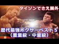 【最強ボクサーベスト5】階級別歴代最強ボクサーベスト5(重量級・中量級)
