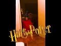 Vittor Potter