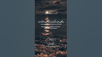وبشر الصابرين #quran #kuranıkerim #سورة_البقرة #اسلام_صبحي