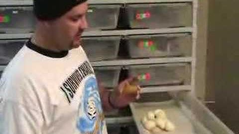 2008 clutch # 1 - part 1