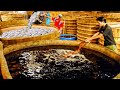 Process Millions Fish to make Fish Oil, Fishmeal,Fish Sauce - Fish Oil Production Process in Factory