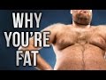 WHY YOU'RE FAT | Killing Fat Cells = IMPOSSIBLE!