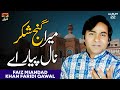 Mera Ganj Shakar Naal Pyar Aey | Faiz Miandad Khan Qawwal | TP Qawwali