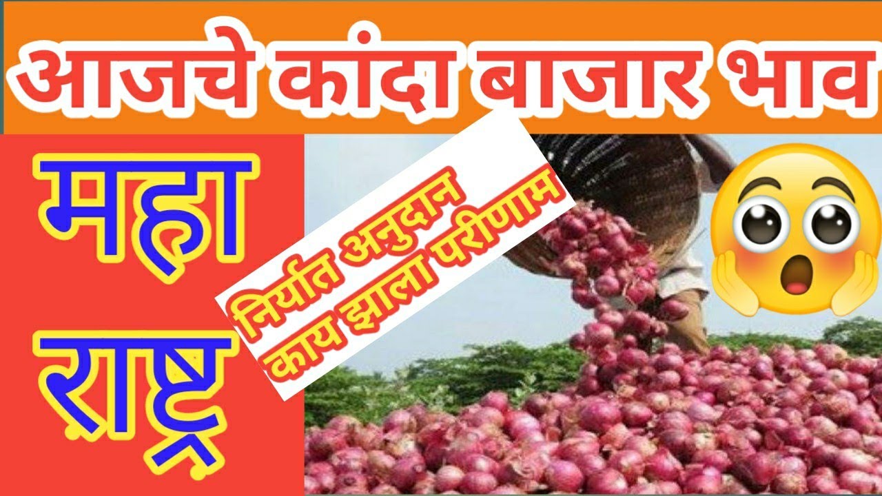 निर्यात अनुदान बंद केल्यावर काय परीणाम झाला कांदा बाजार भावा वर पहा महाराष्ट्रातील कांदा बाजार भाव kandarin diary
