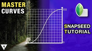 Curves Explained on Android/iOS | Snapseed Tone Curves | PiXinCreate