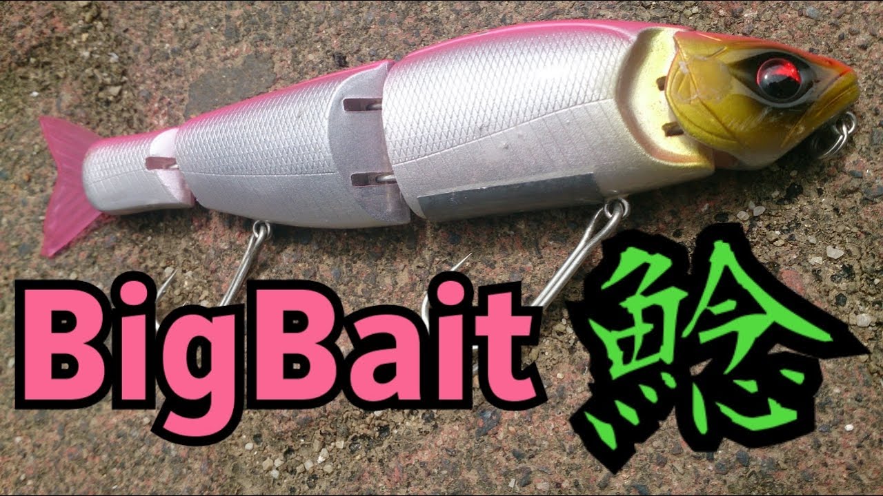 ナマズをビッグベイトで狙ってみた Youtube