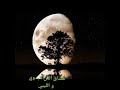 ليلي طويل رمضان ونيس ليلي طويل رمضان ونيس