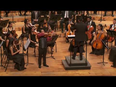 Sibelius Violin Concerto 2nd Mvt - Samuel Vargas