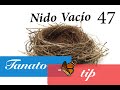 Nido vacío (Tanatotip 47)