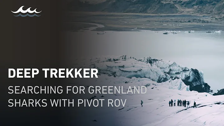 Searching for Greenland Sharks with the Deep Trekker PIVOT ROV