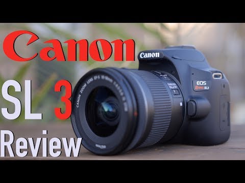 Canon SL3 (250D) Review BEST Camera for Beginners 2020