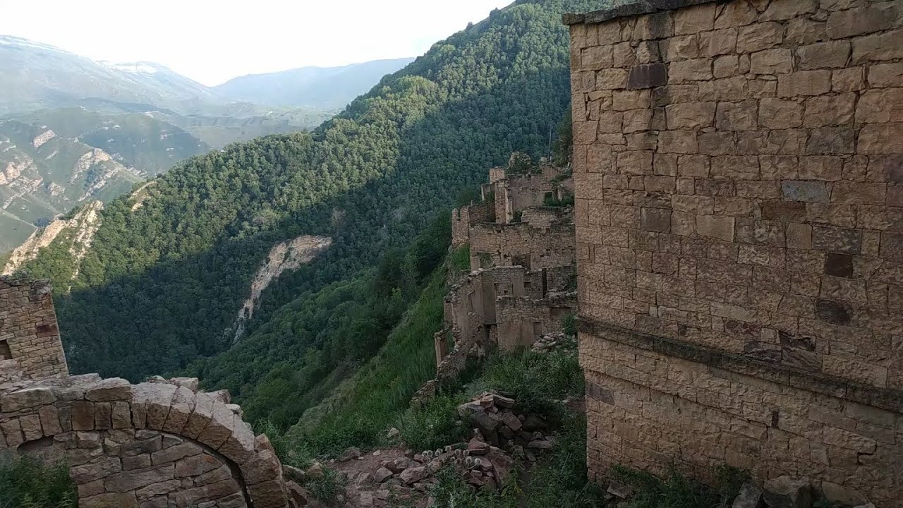 Гамсутль на машине