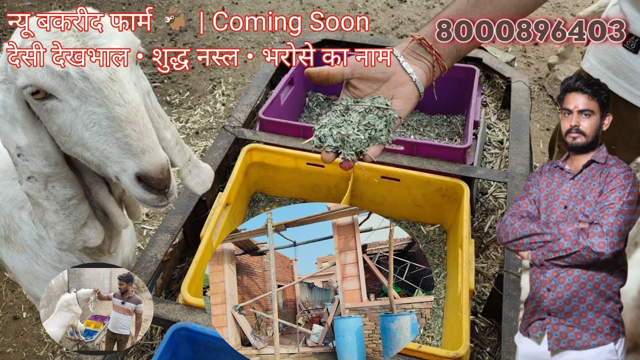 🐐 New Bakri Farm House Opening | Coming Soon 🔥🔥...8000896403