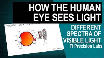 How the human eye sees light