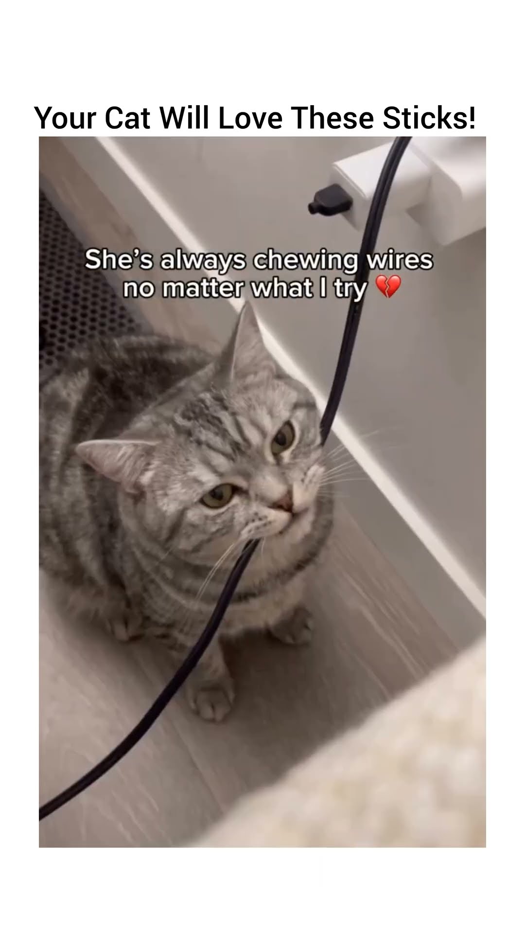 🐱 Silvervine sticks for playful, happy cats! 🌿✨