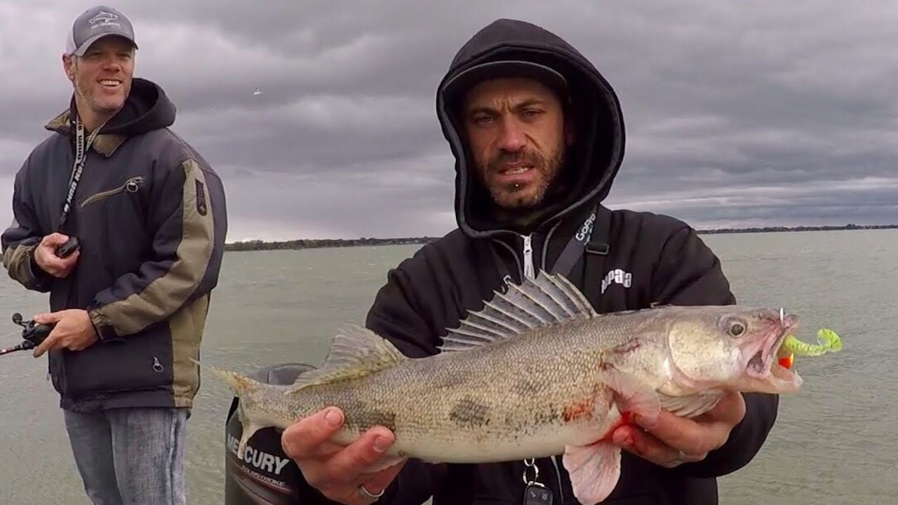 Nouveau Leurres !! Pêche au Doré et Bar Rayé, Vraiment ??? YouTube