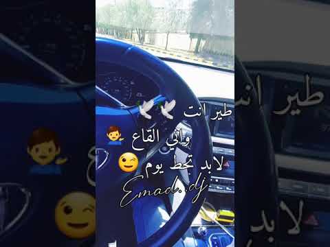 طير انت واني الكاع لابد تحط يوم