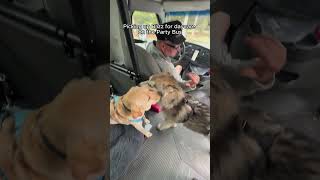Picking up Blizz for daycare on the Party Bus