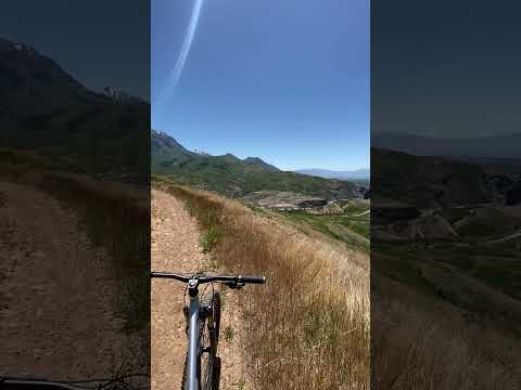Quiet and peaceful. #bike #mtb #nature