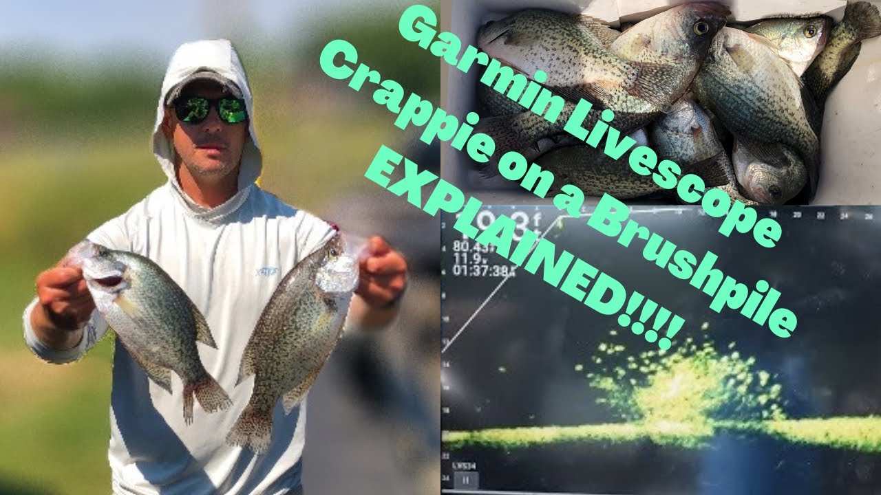 Garmin Livescope Crappie on a Brushpile Explained!!!! HD 1080p YouTube