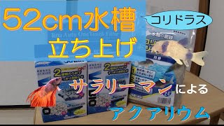 【サラリーマンのアクアリウム】52cm水槽立ち上げ