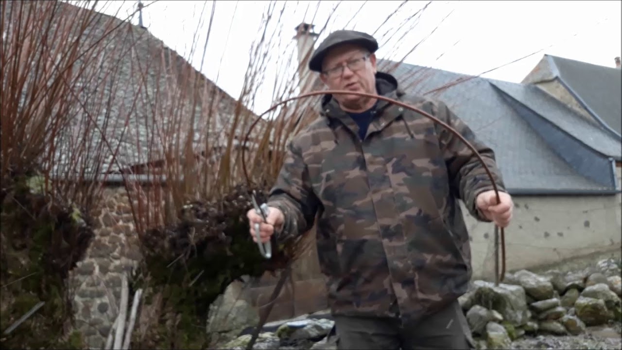 #lafermeduverdier   Récolte de l'osier