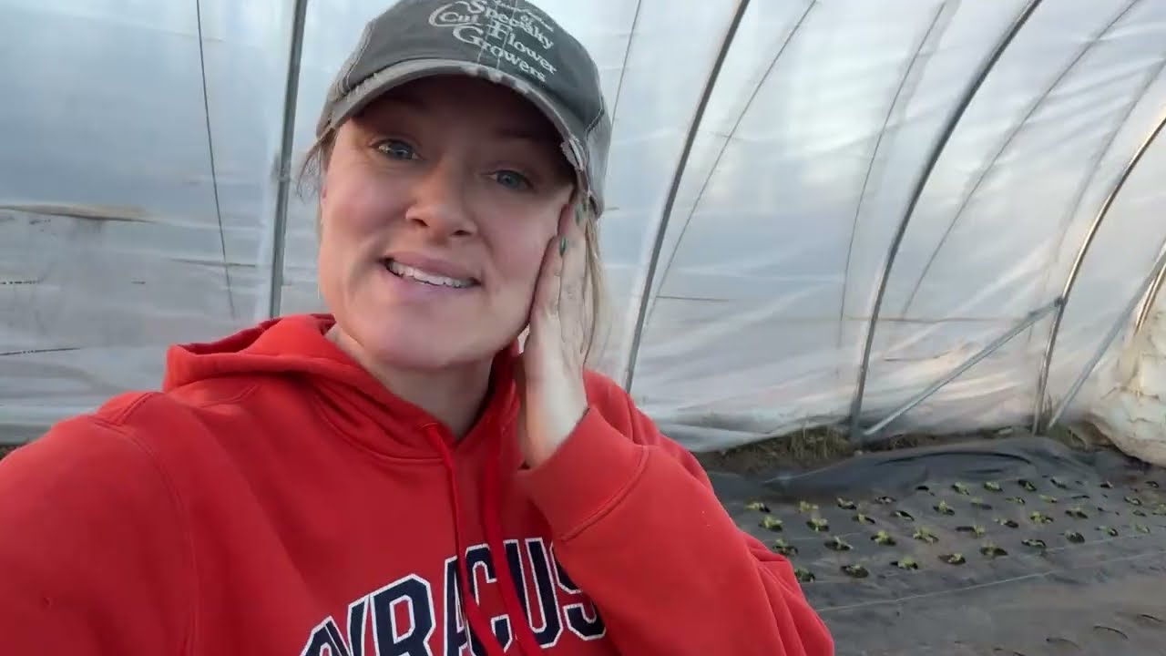 Planting the Hoophouse PART 2 : Zone 4 Flower Hill Farm