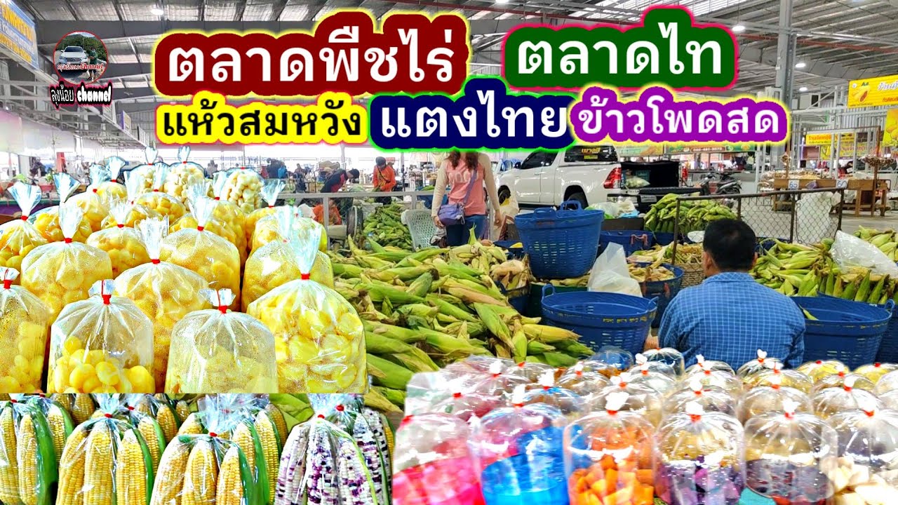 #ตลาดพืชไร่ #ตลาดไท #แห้วสมหวัง#ถั่วต้ม #ถั่วคั่ว #แตงไทย #ข้าวโพด#คลองหลวง#ปทุมธานี #ลุงน้อยchannel