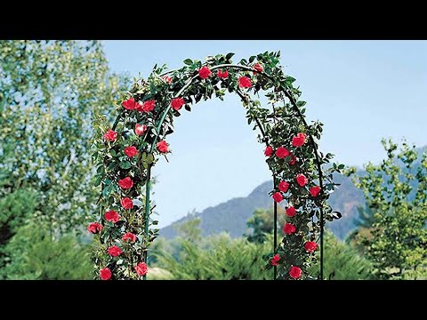 Vídeo: Arco de jardim DIY para plantas trepadeiras. Fabricação, instalação