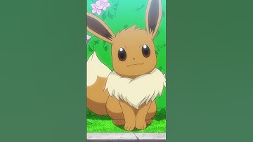 FIGHTING Pokemon Eeveelutions that you WISH Gamefreak would make