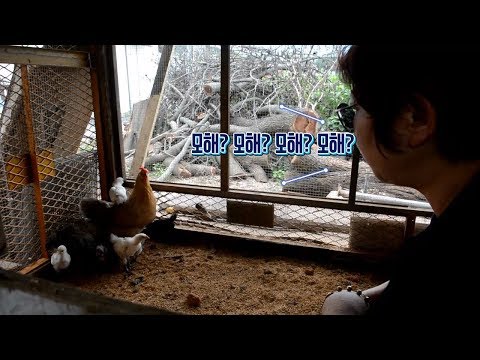 [FMV]쌍둥이엄마버전 San E(산이) - Mohae(모해) M/V Feat. 볼빨간사춘기